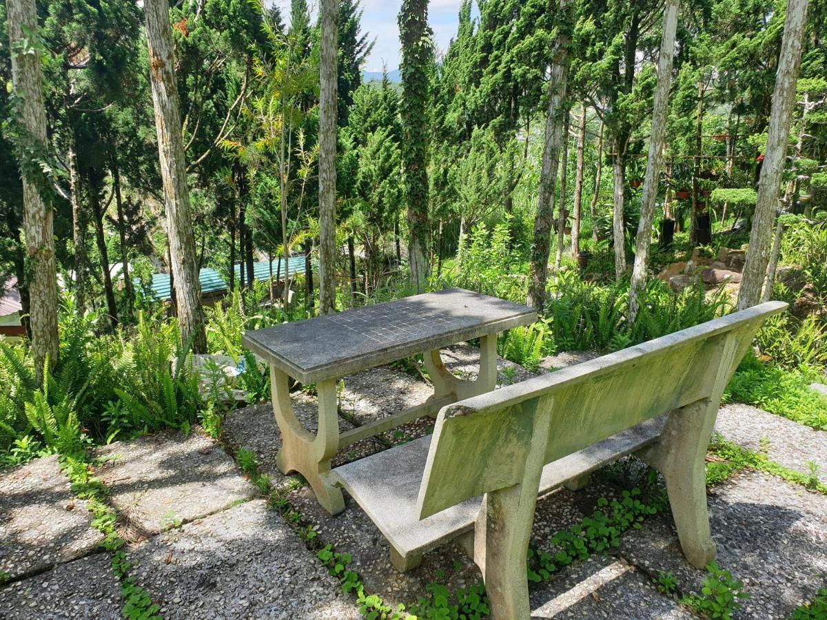 Villa Dieu Thong - Secrect Garden, View San May Va Nui 달랏 외부 사진