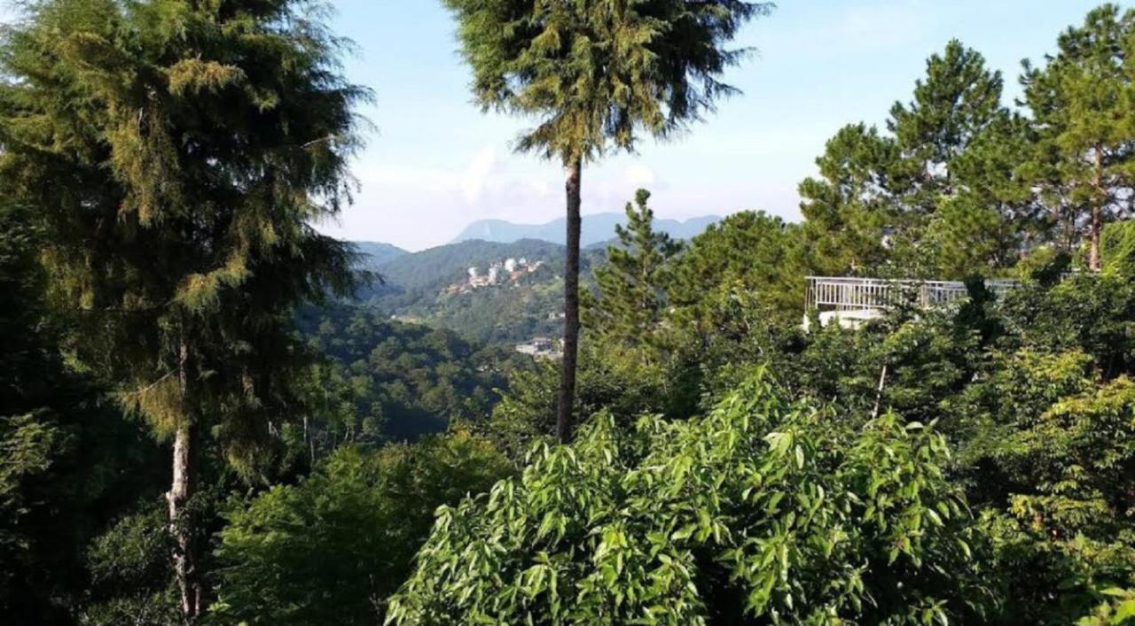 Villa Dieu Thong - Secrect Garden, View San May Va Nui 달랏 외부 사진
