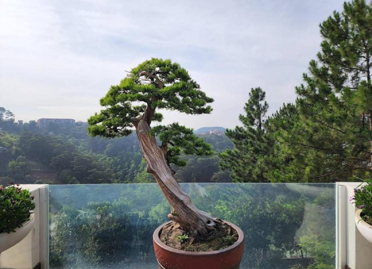 Villa Dieu Thong - Secrect Garden, View San May Va Nui 달랏 외부 사진