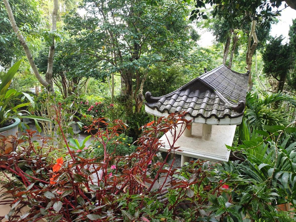 Villa Dieu Thong - Secrect Garden, View San May Va Nui 달랏 외부 사진