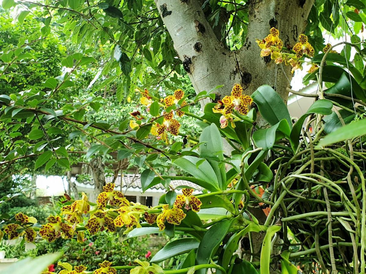 Villa Dieu Thong - Secrect Garden, View San May Va Nui 달랏 외부 사진